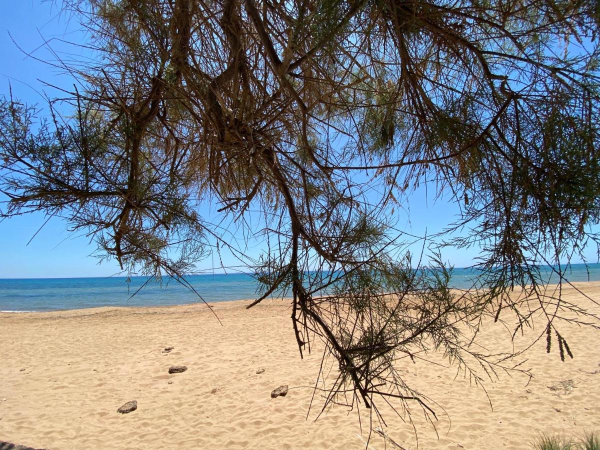 Villa 200M From The Sea - Large Private Patio With Bbq Triscina Exterior foto